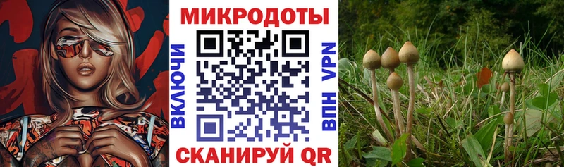 Псилоцибиновые грибы прущие грибы сколько стоит Сухиничи
